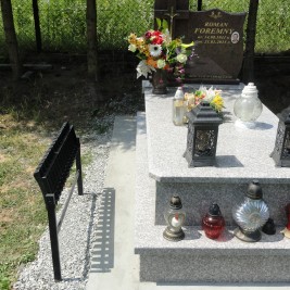 Brąz królewski / tablica daniłówka